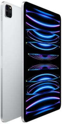 11-INCH IPAD PRO WI-FI + CELLULAR 256GB - SILVER