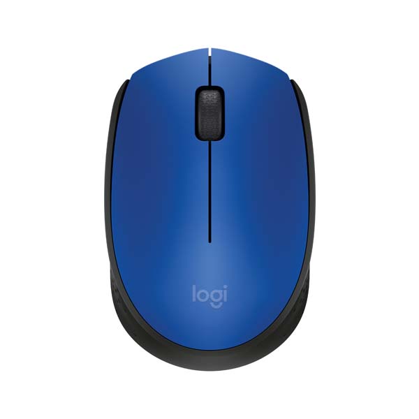 Logitech M171 bLu+Gr c/less