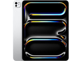 13-INCH IPAD PRO WIFI 512GB WITH STANDARD GLASS - SILVER