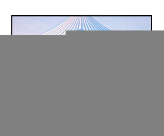 Dell 27 Monitor S2725HS 68.5cm(27”)