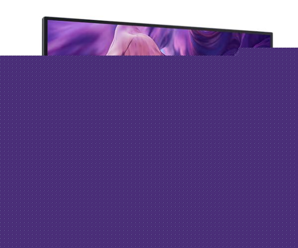 Dell 24 Monitor P2425 60.5cm (23.8)
