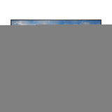 Dell 55 4K Conference Room Monitor - P5525QC 1 x DP 1.4 (supports 2 x Display 4k