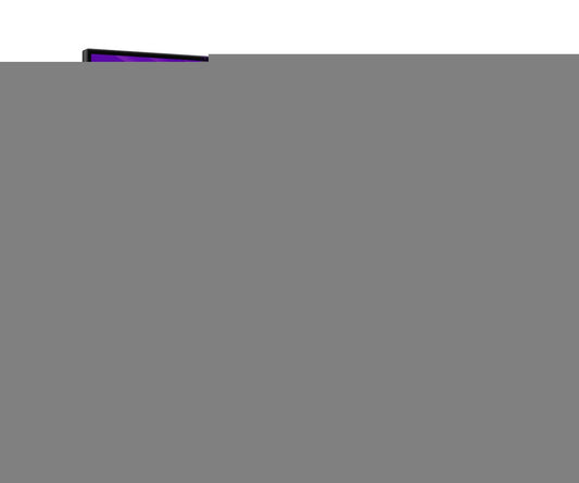 Dell Pro 24 Adjustable Stand Monitor E2425HSM 60.4
