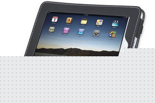Manhattan Kickstand Case for the iPad mini