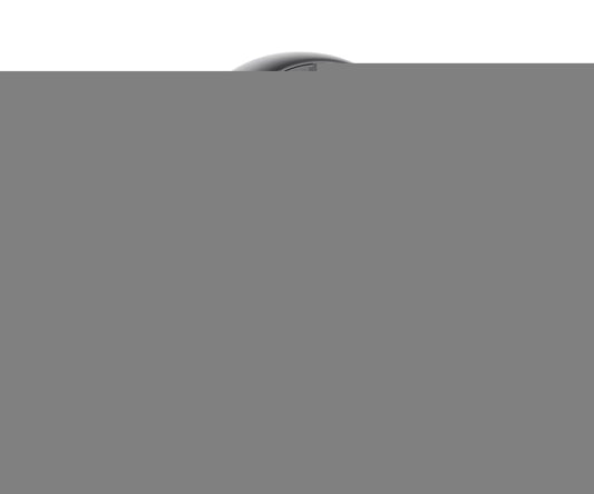Dell Premier Wireless ANC Headset WL7024