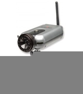 Intellinet MPEG4 CCD IR Camera