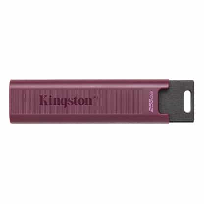 Kingston 256G dt Max t-A gen2