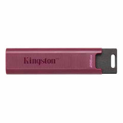 Kingston 256G dt Max t-A gen2