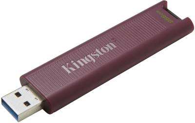 Kingston 256G dt Max t-C gen2