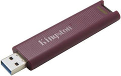 Kingston 256G dt Max t-C gen2