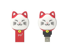 Pqi 16gb Connect303 - Red