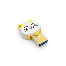 Pqi 32gb Connect303 - Gold