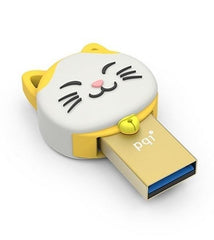 Pqi 64gb Connect303 - Gold