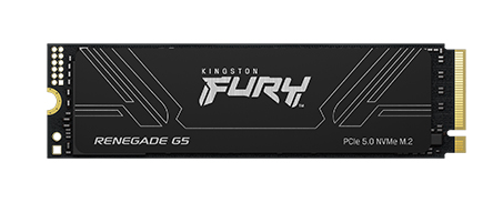 Kingston nGff 4T FurY Renega