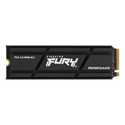 Kingston nGff 500G FurY Rene
