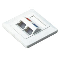 NetiX Angled Face Plate Dual Port with Shuttle (10 pack by Valotronics)