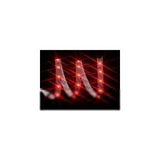 Vizo Led Red 60leds/100cm WP