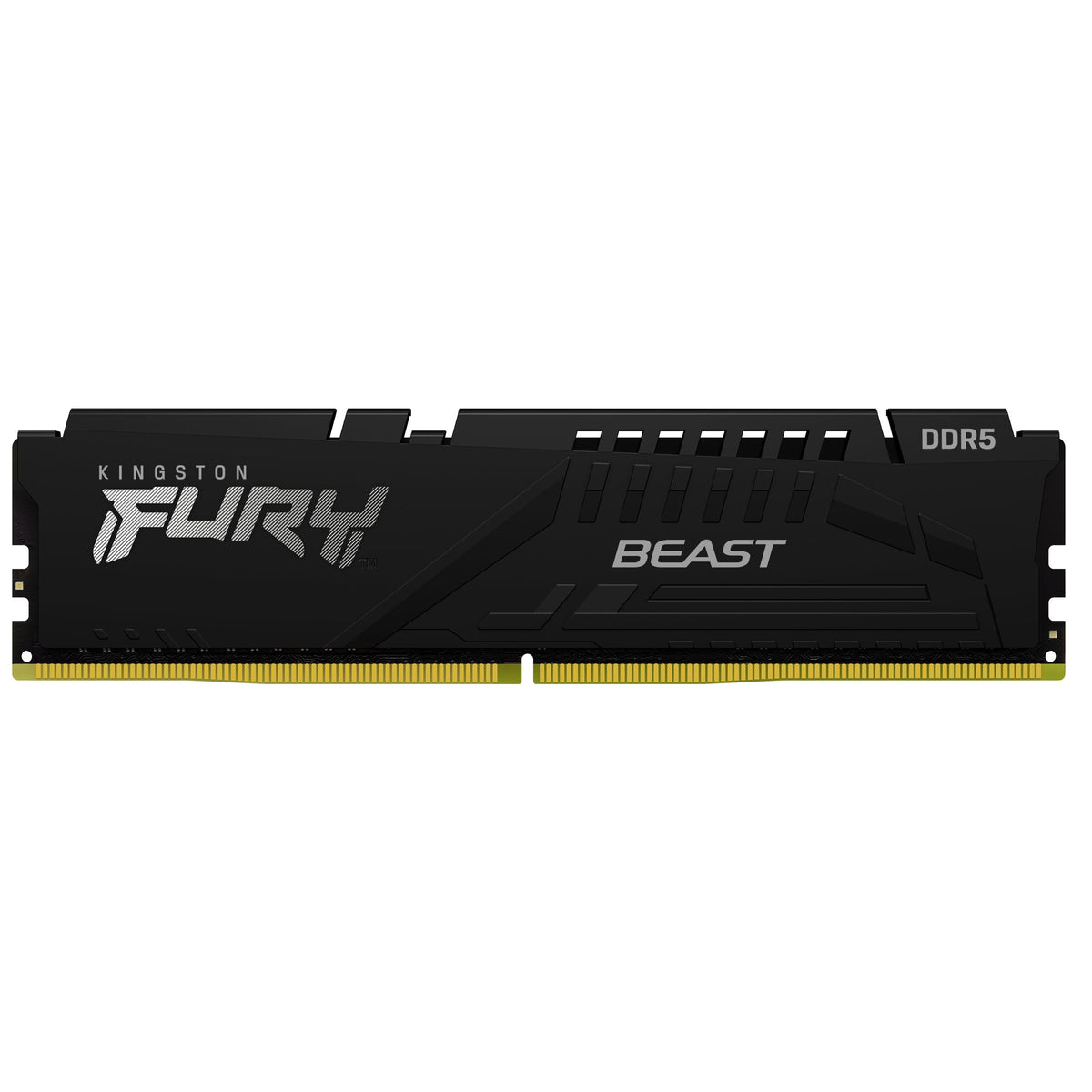 F556C36BBE-16 D5-5600 Beast16