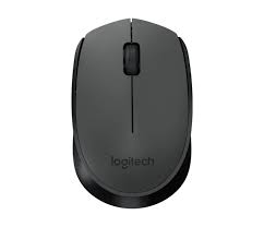 Logitech M170 Blk+Silv c/les