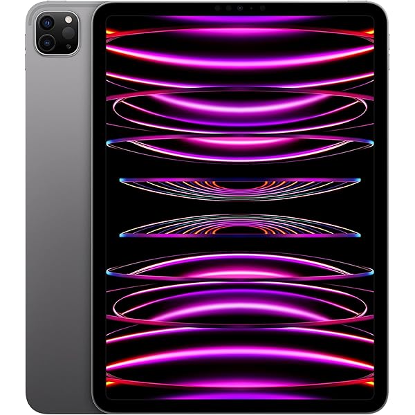 11-INCH IPAD PRO WIFI 512GB WITH STANDARD GLASS - SPACE BLACK