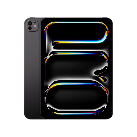 13-INCH IPAD PRO WIFI + CELLULAR 256GB WITH STANDARD GLASS - SPACE BLACK