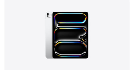 13-INCH IPAD PRO WIFI + CELLULAR 512GB WITH STANDARD GLASS - SILVER