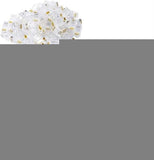 NetiX RJ45 CAT5 Modular Plugs (2 pack by Valotronics)