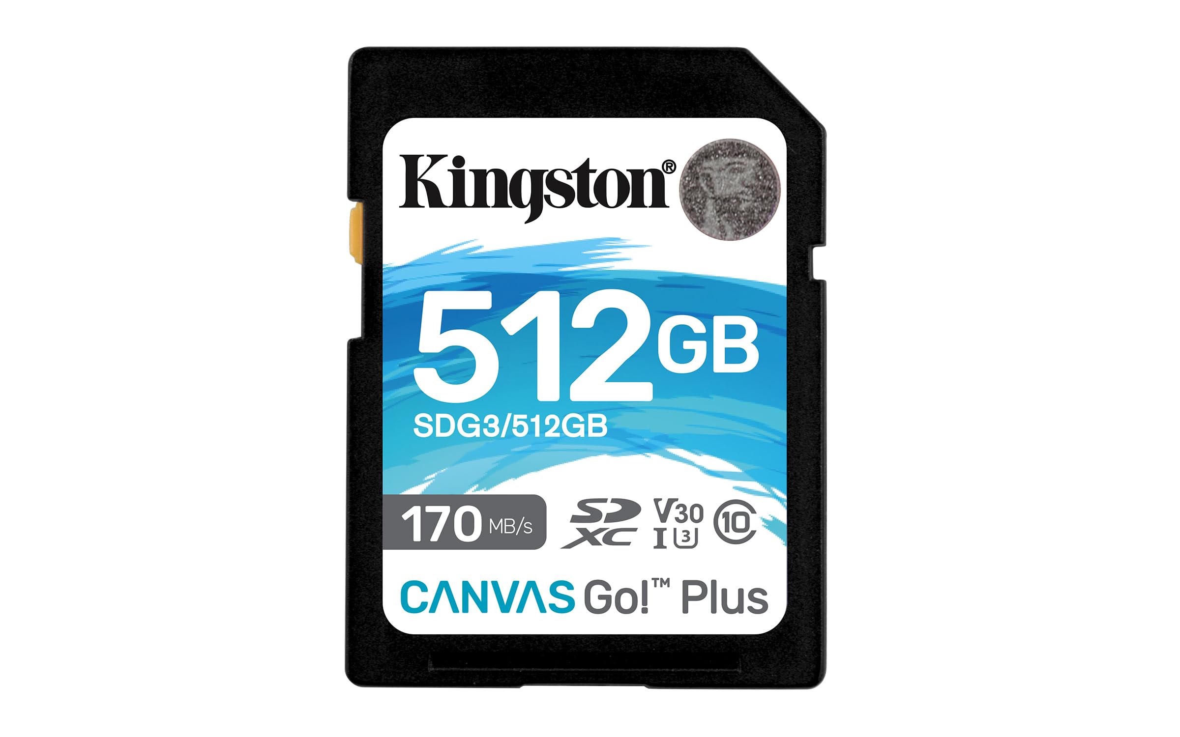 SDG3/512GB sdXc CanvasGo170/