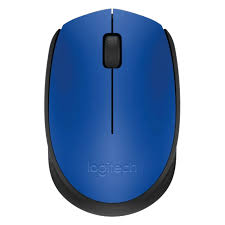 Logitech M171 Wireless Mouse - Blue Nano