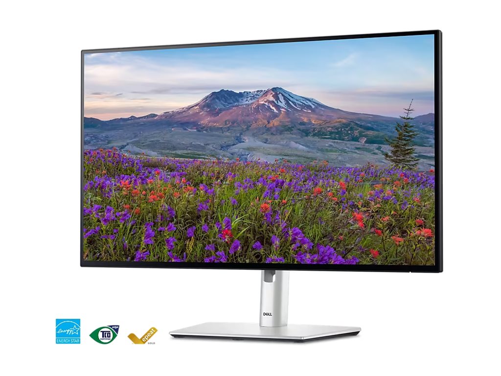 Dell UltraSharp 24 USB-C® Hub Monitor - U2424HE, 