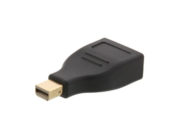 DP FEMALE TO MINI DP MALE ADAPTER
