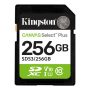 SDS3 - 256GB sdXc Canvas SP