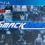 PlayStation 4 Game WWE 2k20 Collectors Edition