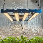 Kingbrite P55 240W BAR Grow Light with UV+IR Samsung LM281B - Image 12