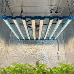 Kingbrite P55 800W BAR Grow Light with UV+IR Samsung LM281B - Image 9