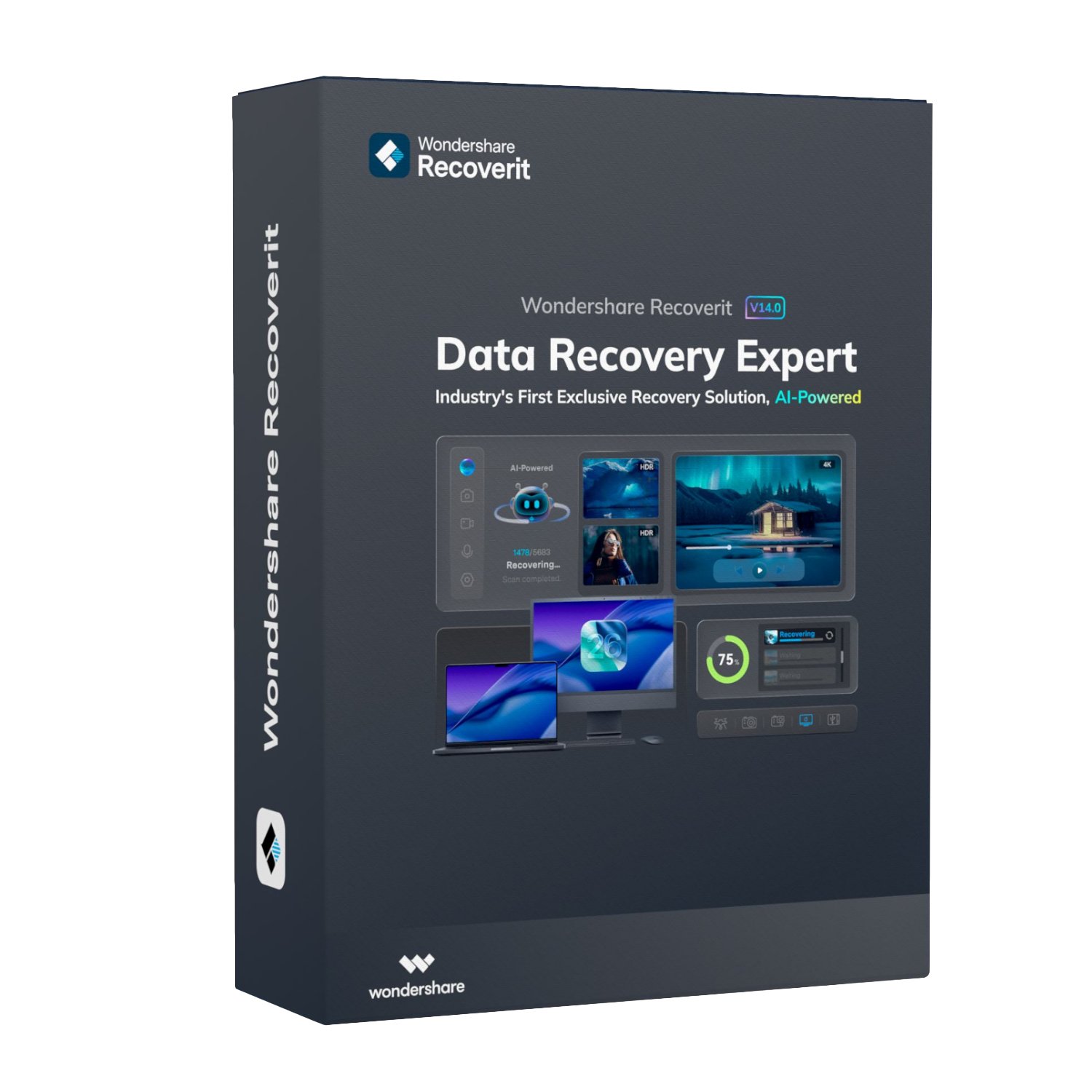 Wondershare Recoverit Data Recovery Expert for Windows Individual (Digital Annual License)