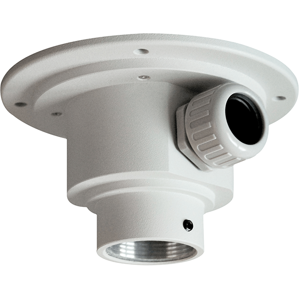 VIVOTEK Pendant Head